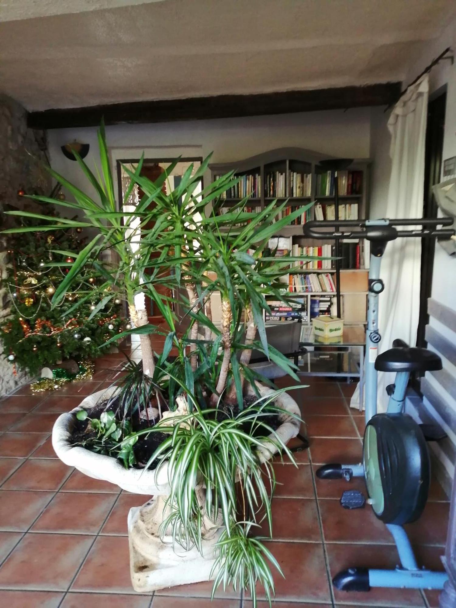 Belle Maison De Caractere Dans Village Et Sa Piscine Privee 7 Pers- 3 Chambres - 12 Rue Emile Zola Millas Εξωτερικό φωτογραφία